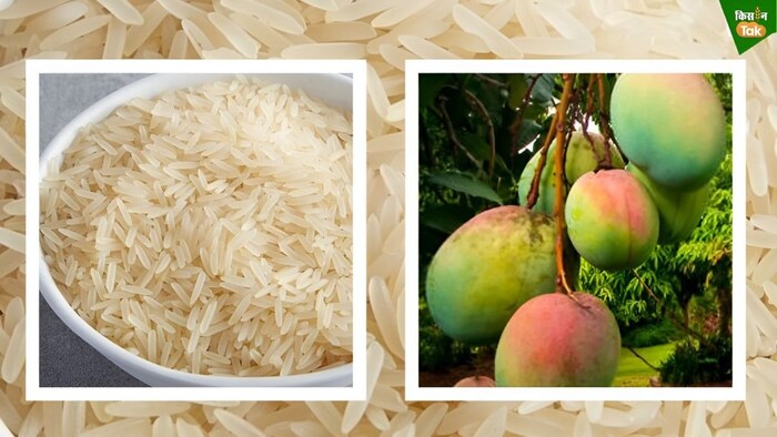 Rataul Mango Dispute