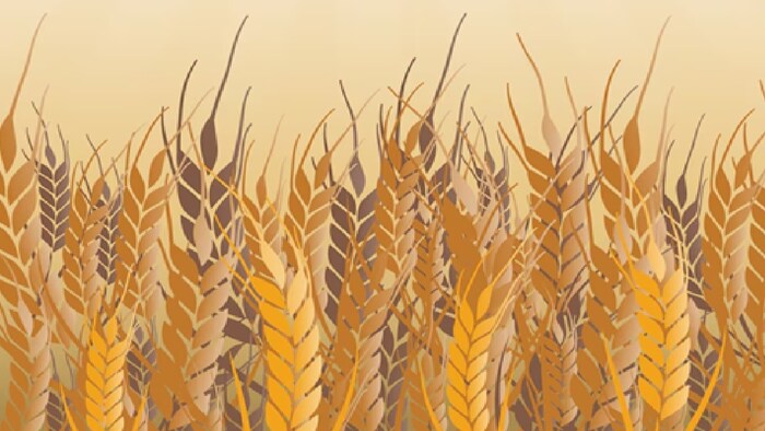 प्राकृतिक खेती के उत्पादों की खरीद-बिक्री के लिए 10 मंडियों को मॉडर्न बनाया जा रहा है