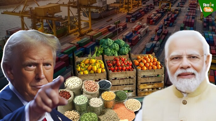 एक्सपर्ट का मानना है कि अमेरिका भारतीय कृषि उत्पादों पर टैरिफ बढ़ाता है तो कीमतें भी बढ़ेंगी.