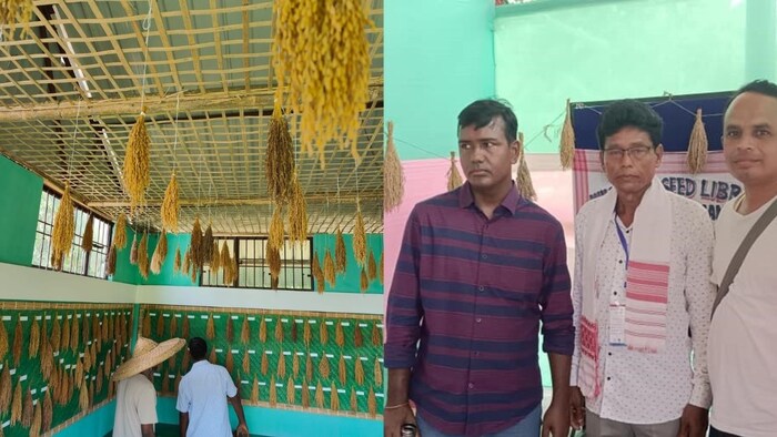 असम के महान चंद्र बोरा ने बनाया सीड बैंक