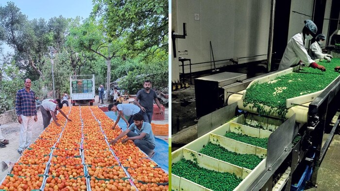 भारतीय सब्जी अनुसंधान संस्थान (आईआईवीआर) में किसानों के लिए एक बड़ी सुविधा की शुरुआत की गई है.