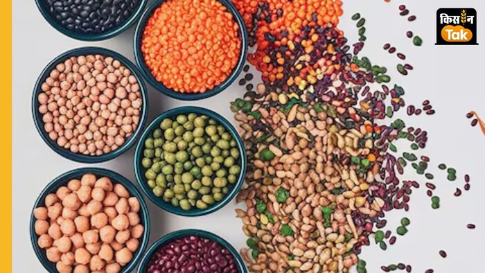 केंद्र एमएसपी पर किसानों से दालों की खरीद रही है.