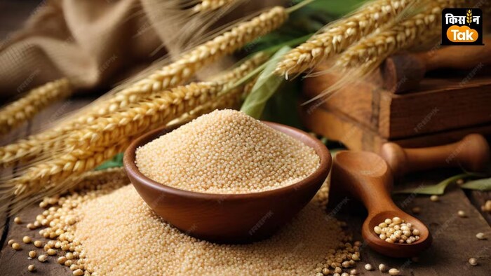 श्री अन्न की खरीद के एवज में किसानों के खाते में पहुंची 200 करोड़ रुपये से अधिक की धनराशि.