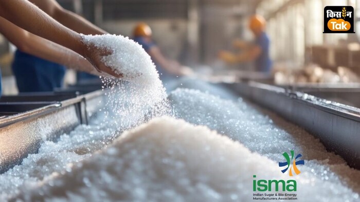 यूपी और महाराष्ट्र समेत सभी प्रमुख राज्यों में शुगर आउटपुट घटा है.