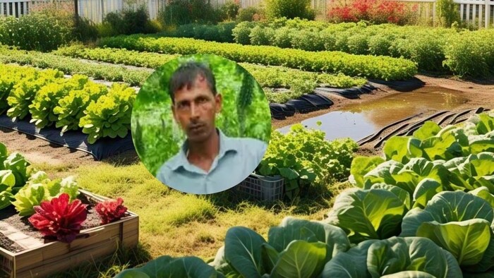 Vegetable Farming