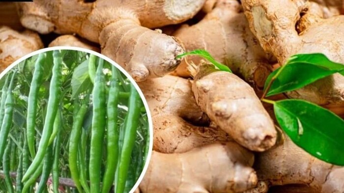 राज्य में 35 नई लघु सिंचाई परियोजनाओं को जल्द किया जाएगा.