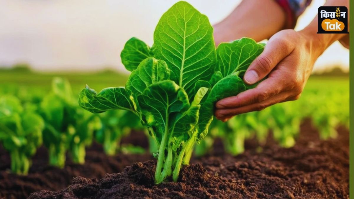 नेचुरल फार्मिंग मिशन