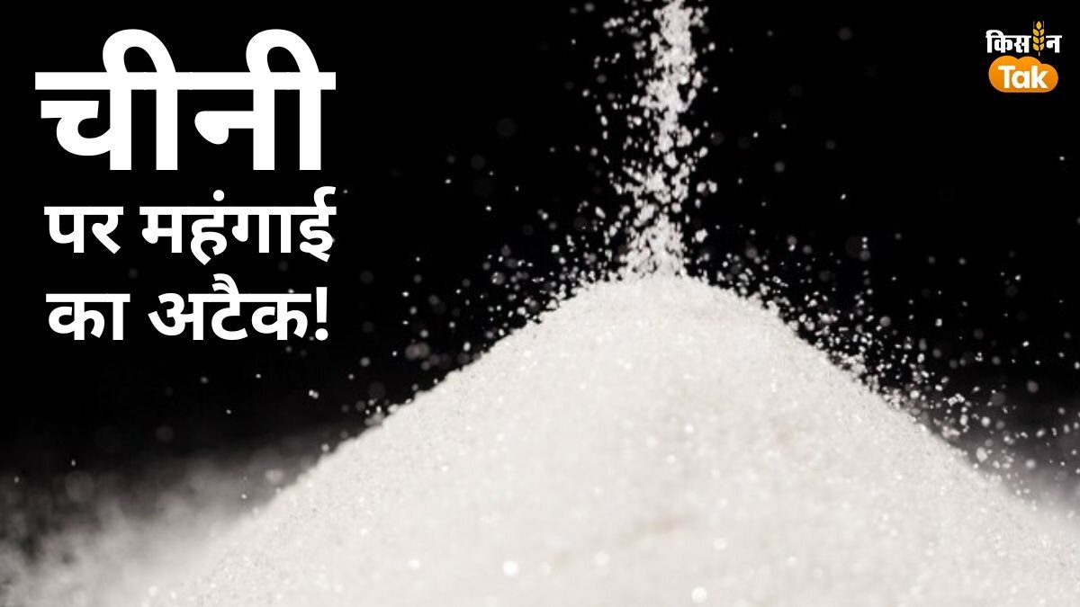 Sugar Price Hike: 30 दिन में 3 फीसदी महंगी हुई चीनी.. 6 फीसदी तक दाम और चढ़ने की आशंका, ये है वजह