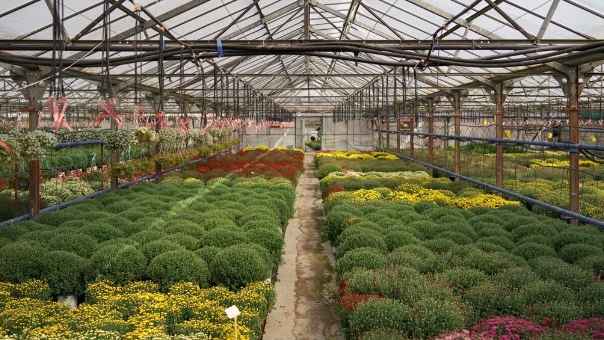 हरियाणा सरकार ने किया समझौता, स्टोरेज में बागवानी किसानों को मिलेगा फायदा