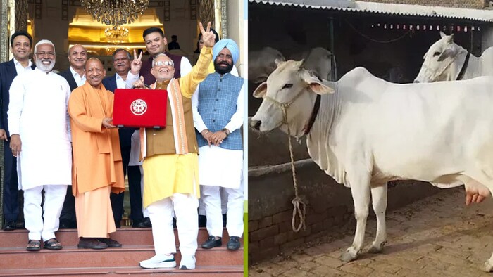 छुट्टा गोवंश के लिए टैगिंग योजना (Photo-Kisan Tak)