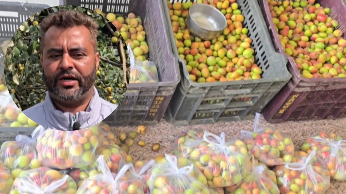 Jagdeep Singh, Ber Farmer