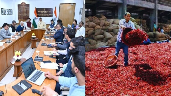 Andhra Red Chilli Procurement Issue