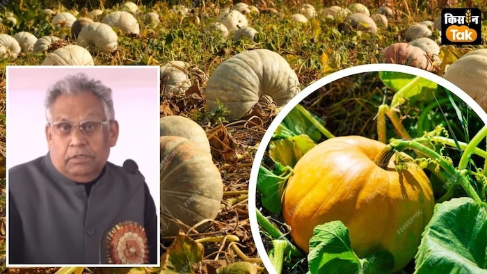 केंद्रीय मंत्री रामनाथ ठाकुर ने कद्दू की खेती कर परिवार का कर्ज चुकाने का किस्सा सुनाया.