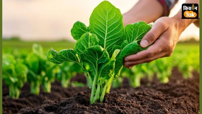 नेचुरल फॉर्मिंग मिशन पर कितना पैसा खर्च होगा?