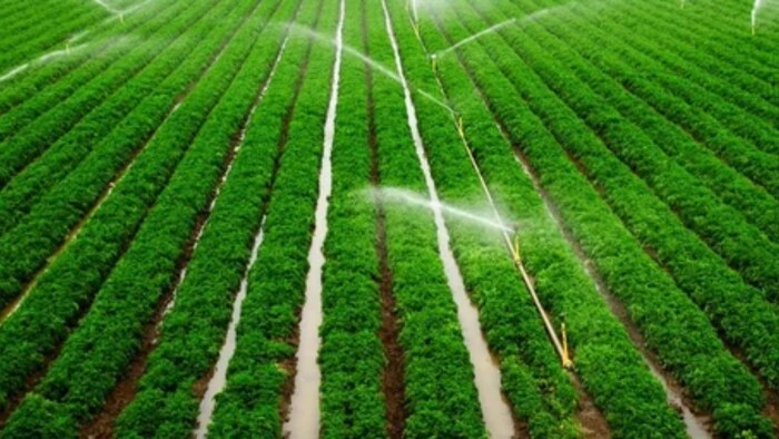 Representational Image