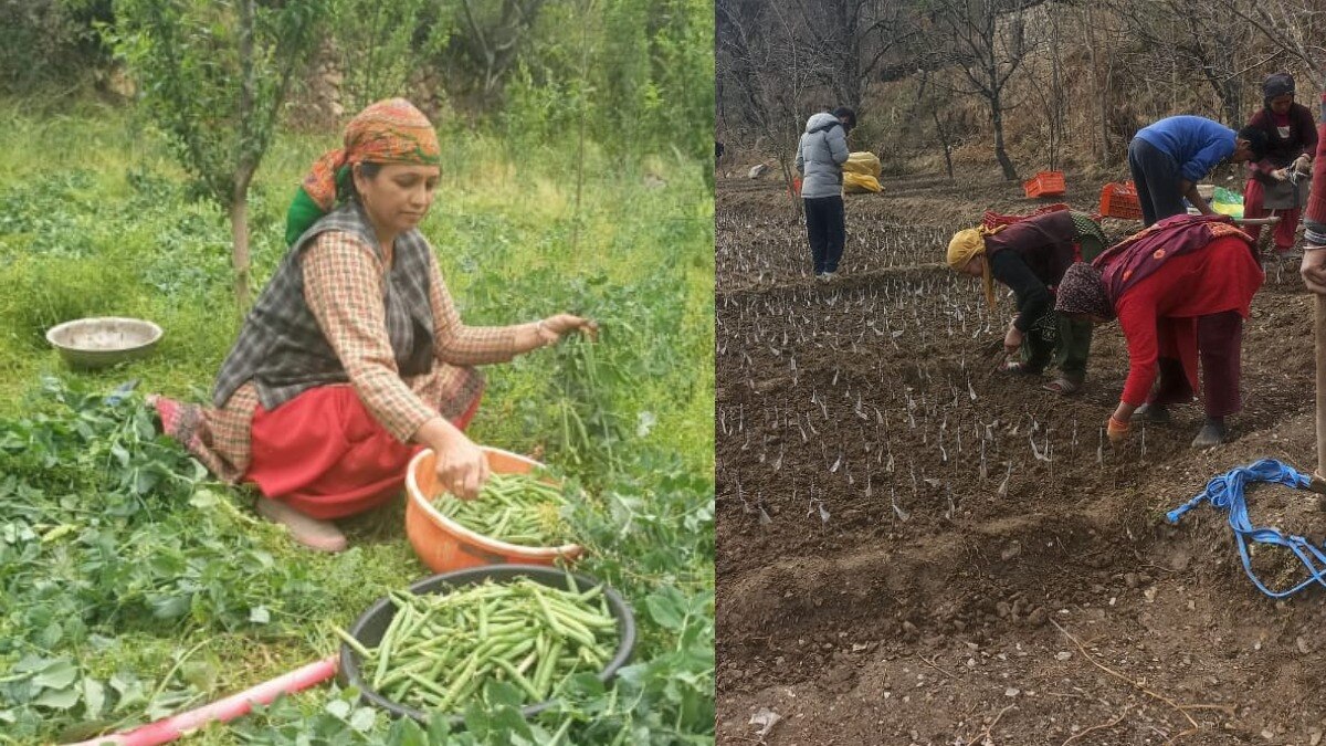 जैविक खेती से हो रही लाखों की कमाई (तस्वीर साभार- अनीता देवी)