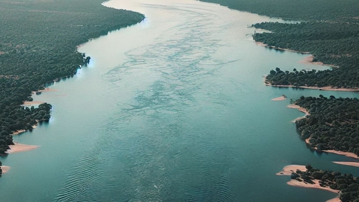 Maharashtra River Link Project . (Photo: AI)