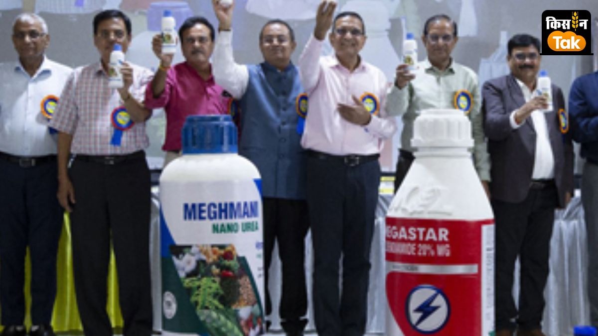 दिसंबर तिमाही में कंपनी ने 558 करोड़ रुपये रेवेन्यू हासिल किया है.