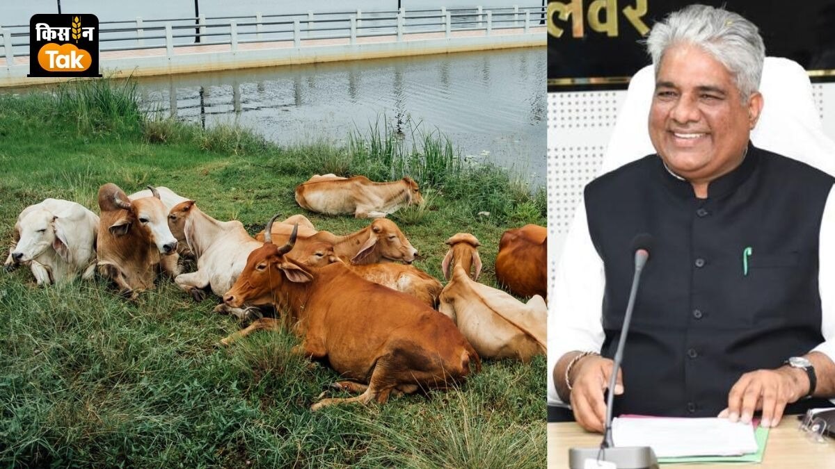 इलाज के लिए कई किलोमीटर नहीं भटकेंगे पशुपालक, वेटनरी कॉलेज खुलेगा और मिल्क प्लांट बनाने की घोषणा 