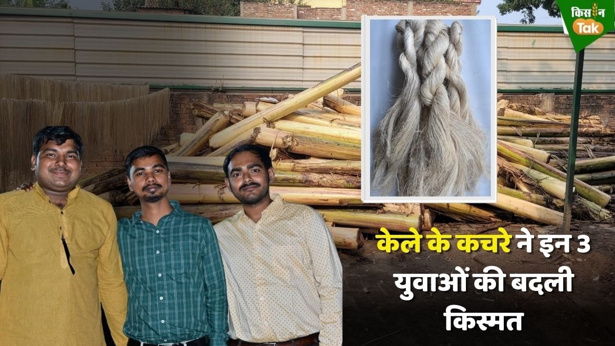 करोड़ों की कमाई का जरिया बना केले का कचरा, इन 3 युवाओं ने पेश की धाकड़ मिसाल