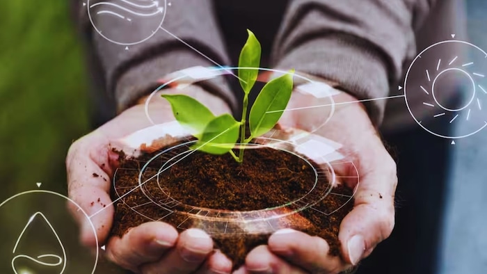 एआई सिस्टम लॉन्च