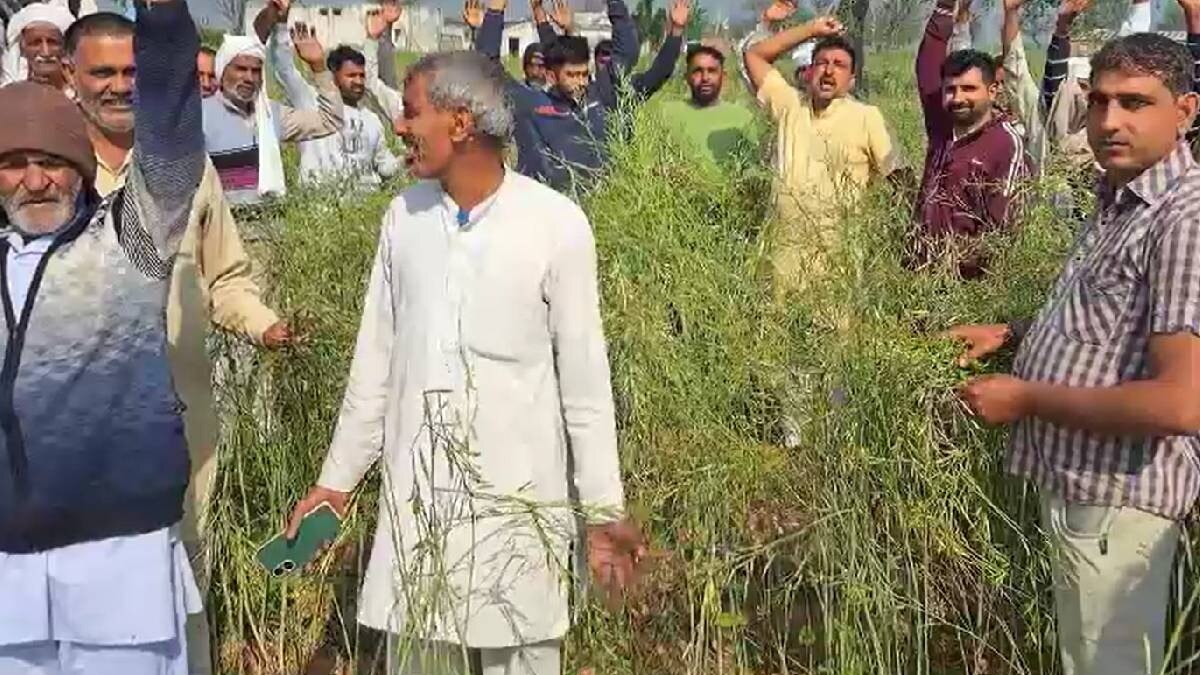 मुआवजे की मांग पर किसानों ने हिसार-नारनौल रोड किया जाम, 2 दिन का दिया अल्टीमेटम