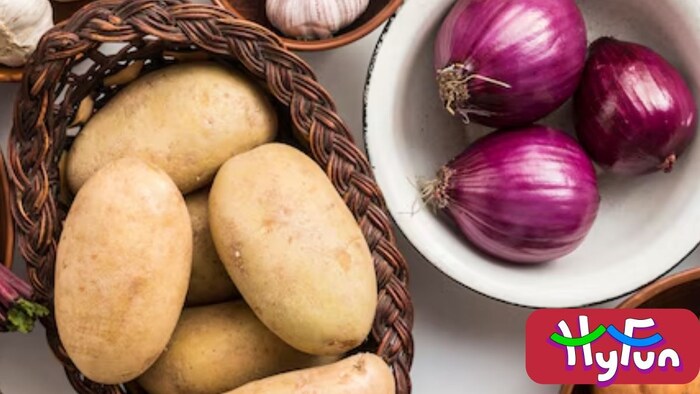 HyFun Foods कंपनी आलू के लिए भी कॉन्ट्रैक्ट फार्मिंग कराती है.