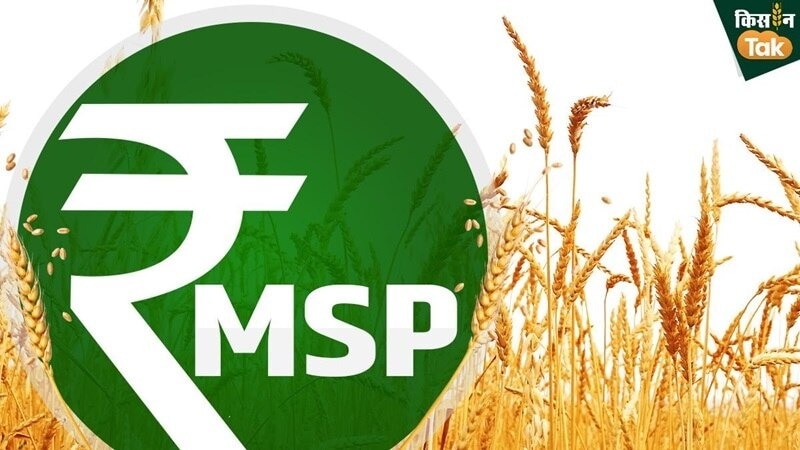 MSP से 15% धान किसानों और 9.6% गेहूं किसानों को ही मिल रहा लाभ, रिपोर्ट में बड़ा खुलासा