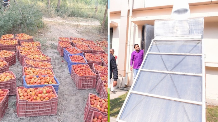 किसानों के लिए बेहद फायदेमंद सोलर डिहाइड्रेशन मशीन