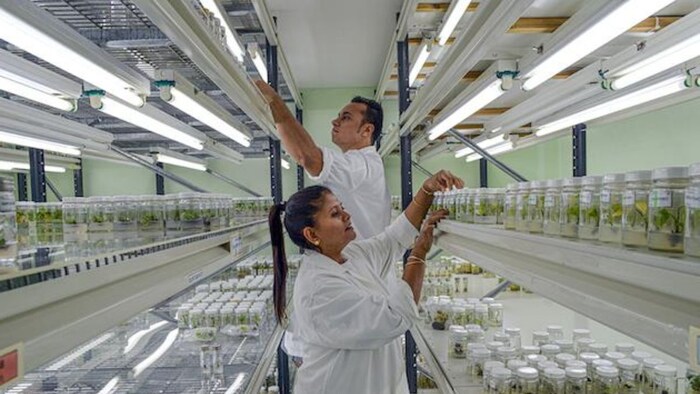 कृषि जीन बैंक (सांकेतिक फोटो)