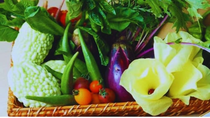 सब्जी की श्रेया किस्म