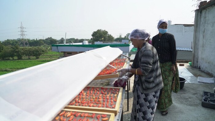 सोलर डिहाइड्रेटर मशीन