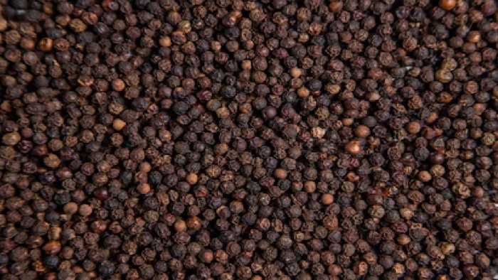 उपज और क्वालिटी बेहतर करने के लिए किसानों को प्रमाणित बीज उपलब्ध कराए जाएंगे.