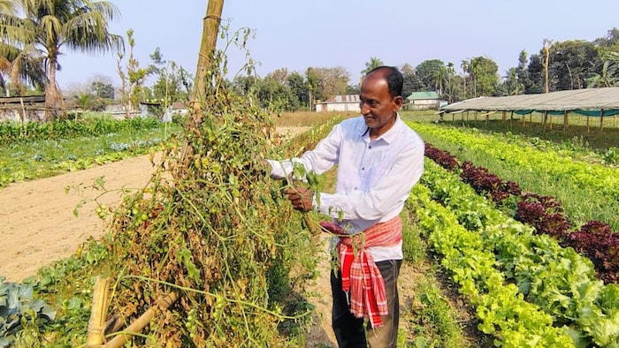Tripura Farmer Amar Sarkar