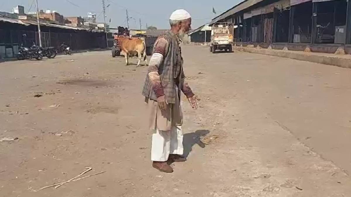 2 सांडों की लड़ाई में फंसे बुजुर्ग किसान की मौके पर मौत, सब्जी मंडी में हुई दर्दनाक घटना 