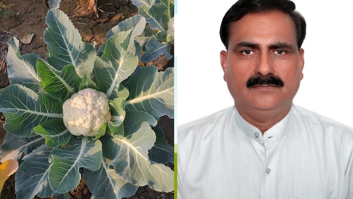 चंद्रशेखर आजाद कृषि एवं प्रौद्योगिकी विश्वविद्यालय कानपुर के वैज्ञानिक डॉ राजीव