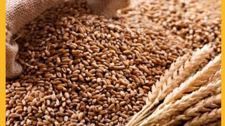 Wheat Price: इन मंडियों में 3 हजार के पार पहुंची गेहूं की कीमत, जानिए किन राज्यों में हो रही बंपर आवक Wheat Price: इन मंडियों में 3 हजार के पार पहुंची गेहूं की कीमत, जानिए किन राज्यों में हो रही बंपर आवक