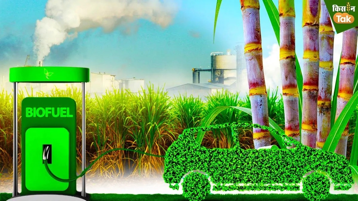 इथेनॉल ब्लेंडिंग मांग 2034 तक 2994 करोड़ लीटर तक पहुंचने की उम्मीद है.