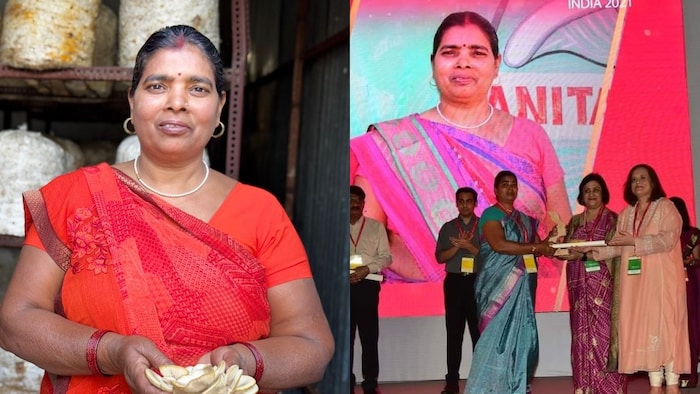 Anita Bihar Mushroom Farming