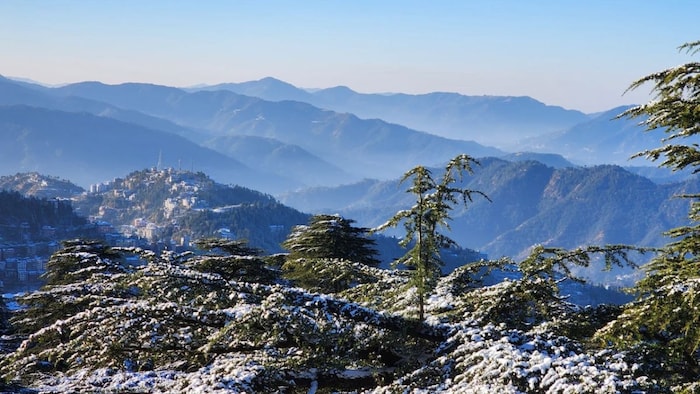 Farmers of many districts are troubled due to less rainfall