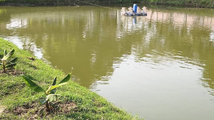 fish farming in Bihar