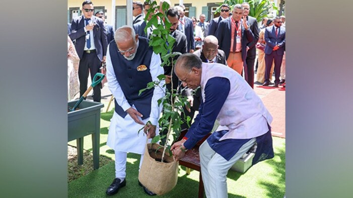 PM Planting Beal Tree IN Mauritius