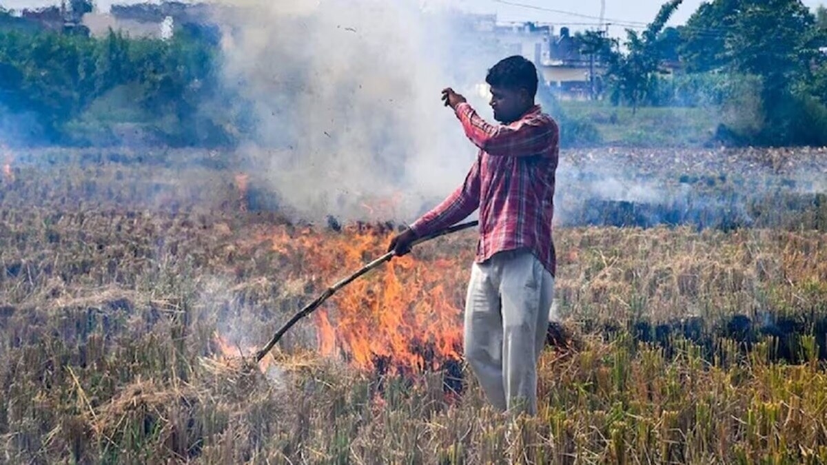 पराली जलाने से रोकने के लिए किसानों को 100 रुपये/क्विंटल दे सरकार, समिति की सिफारिश