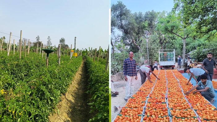 बाराबंकी जिले के तेजवापुर गांव के रहने वाले प्रगतिशील किसान नवनीत वर्मा