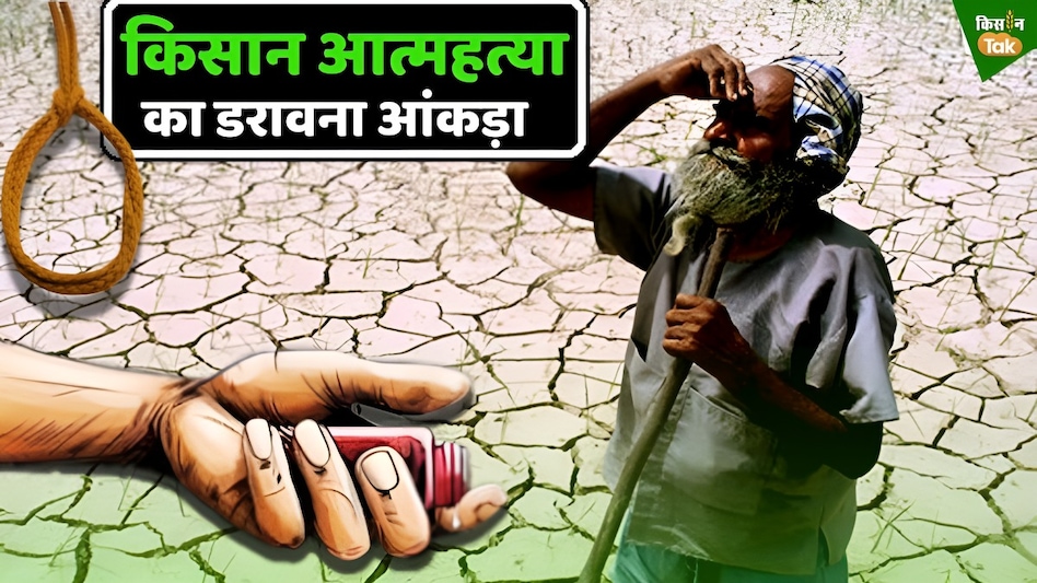 महाराष्ट्र में हर दिन 8 किसानों की खुदकुशी! सदन में सरकार ने खुद दी जानकारी महाराष्ट्र में हर दिन 8 किसानों की खुदकुशी! सदन में सरकार ने खुद दी जानकारी