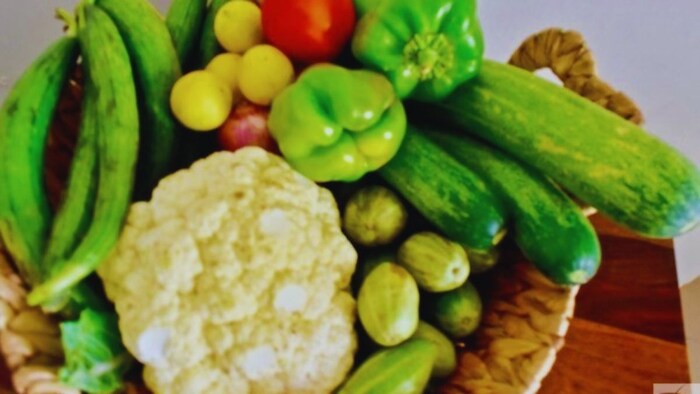 किस सब्जी की किस्म है संपन्न