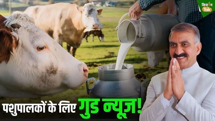 बजट में पशुपालकों की बम-बम