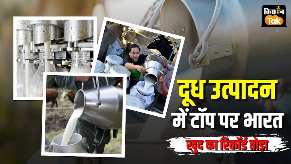 Indian Dairy: चुनौती और मौके, दोनों साथ लेकर आ रहा है डेयरी सेक्टर, करने होंगे ये काम  Indian Dairy: चुनौती और मौके, दोनों साथ लेकर आ रहा है डेयरी सेक्टर, करने होंगे ये काम