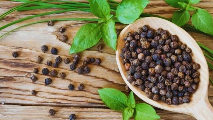 decline in the production of black pepper