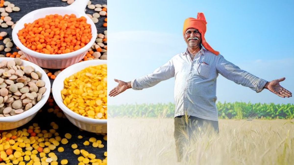 सरकार ने दी दलहन फसलों की खरीद को मंजूरी, इन राज्यों के किसानों को होगा सीधा फायदा 